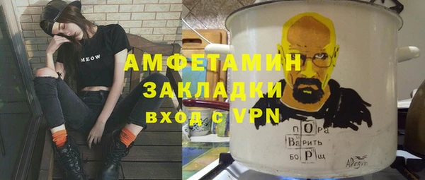 индика Гусь-Хрустальный
