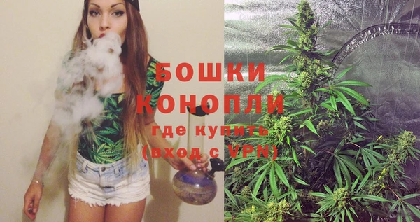 ПСИЛОЦИБИНОВЫЕ ГРИБЫ Гусев