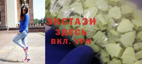 индика Гусь-Хрустальный