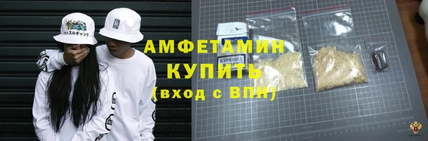 индика Гусь-Хрустальный