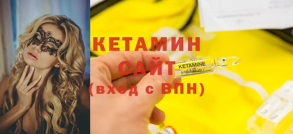 индика Гусь-Хрустальный