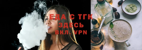 индика Гусь-Хрустальный