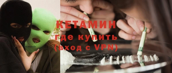 индика Гусь-Хрустальный