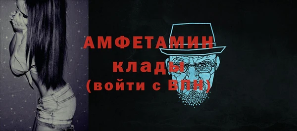 индика Гусь-Хрустальный