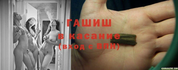 индика Гусь-Хрустальный