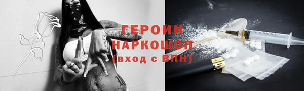 индика Гусь-Хрустальный