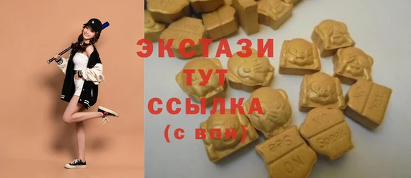 индика Гусь-Хрустальный