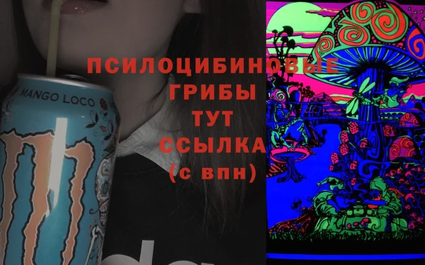 ПСИЛОЦИБИНОВЫЕ ГРИБЫ Гусев