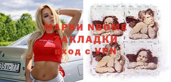 индика Гусь-Хрустальный