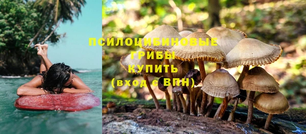 ПСИЛОЦИБИНОВЫЕ ГРИБЫ Гусев