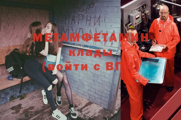 индика Гусь-Хрустальный