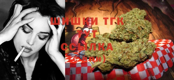 ПСИЛОЦИБИНОВЫЕ ГРИБЫ Гусев