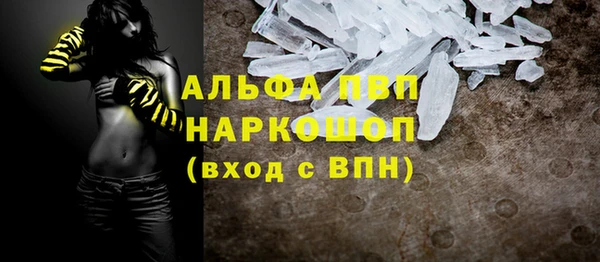 ПСИЛОЦИБИНОВЫЕ ГРИБЫ Гусев