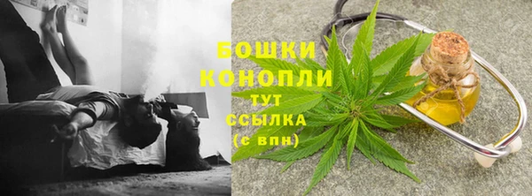индика Гусь-Хрустальный