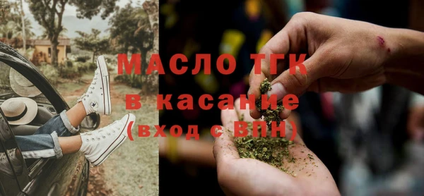 индика Гусь-Хрустальный
