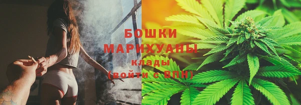 индика Гусь-Хрустальный