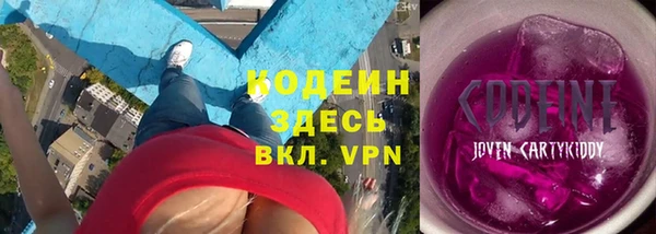 индика Гусь-Хрустальный