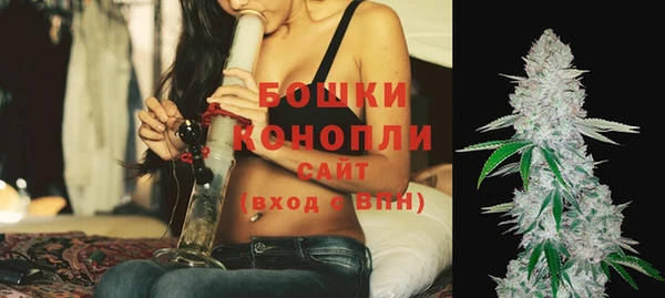 ПСИЛОЦИБИНОВЫЕ ГРИБЫ Гусев