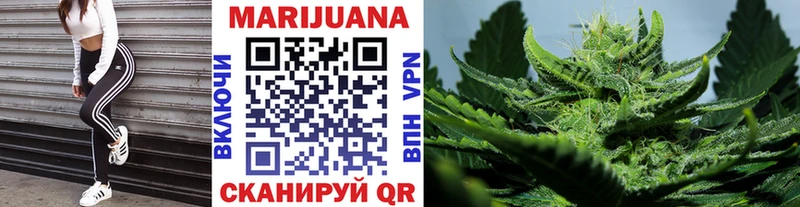 Конопля SATIVA & INDICA  Купить  Мезень 